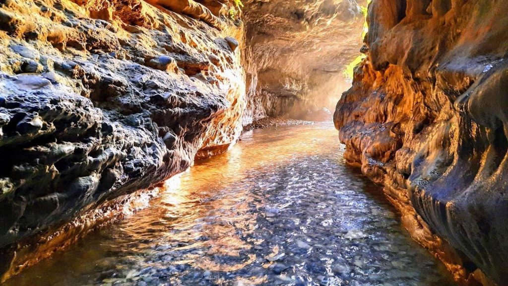 Relax In The Hills: 10 Dehradun Family Destinations
