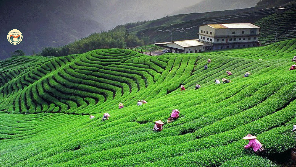 Best Places to Visit in Uttarakhand During Monsoon Season